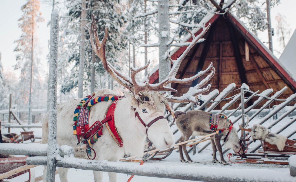 Natal em Rovaniemi, Finlândia
