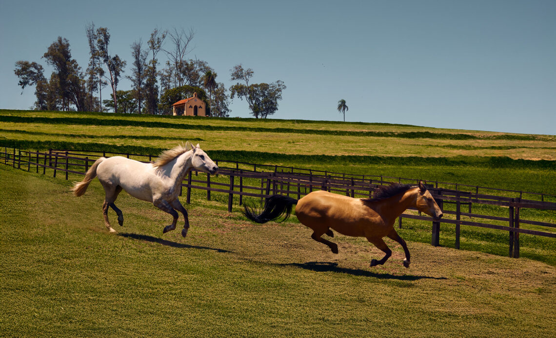 Fazenda Vista Verde em Araçoiaba da Serra